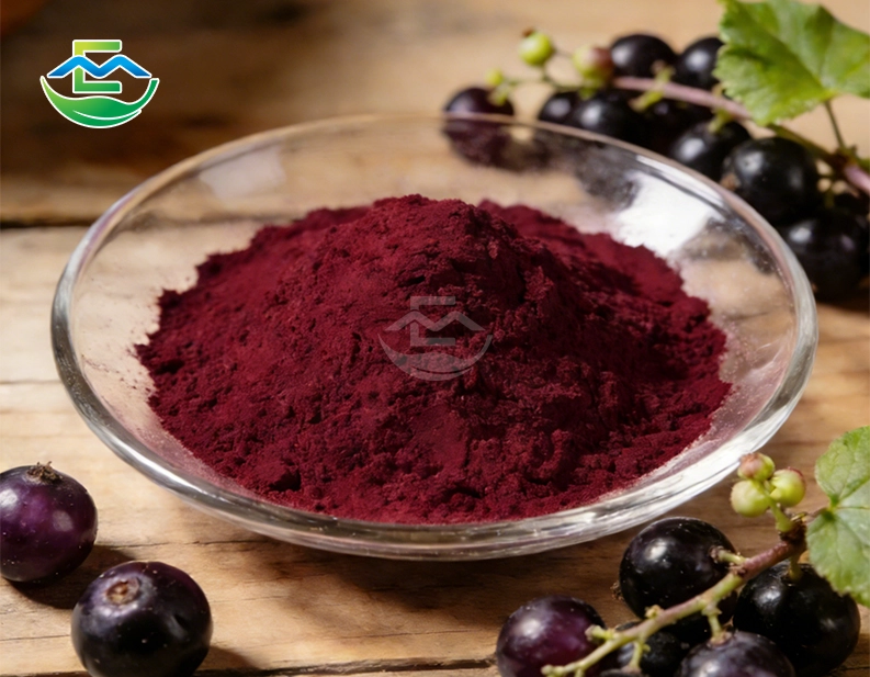 Blackcurrant Juice Powder